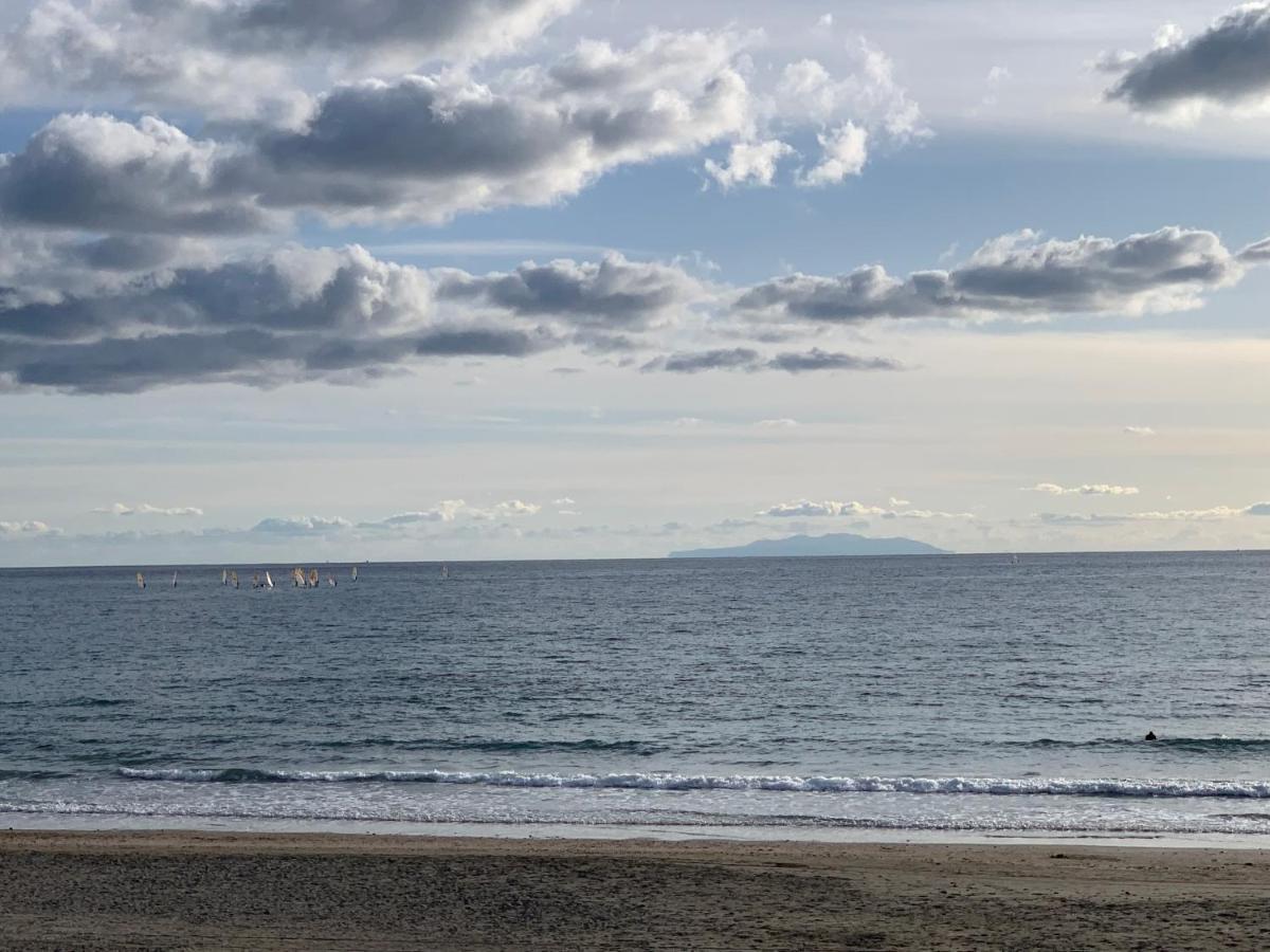 Surf Rider-ゲストハウスタイプ Kamakura